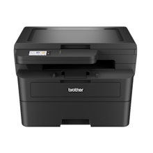 Brother HL-L2480DW