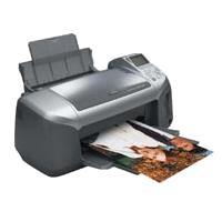 Epson Stylus Photo R310