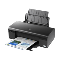 Epson Stylus C110